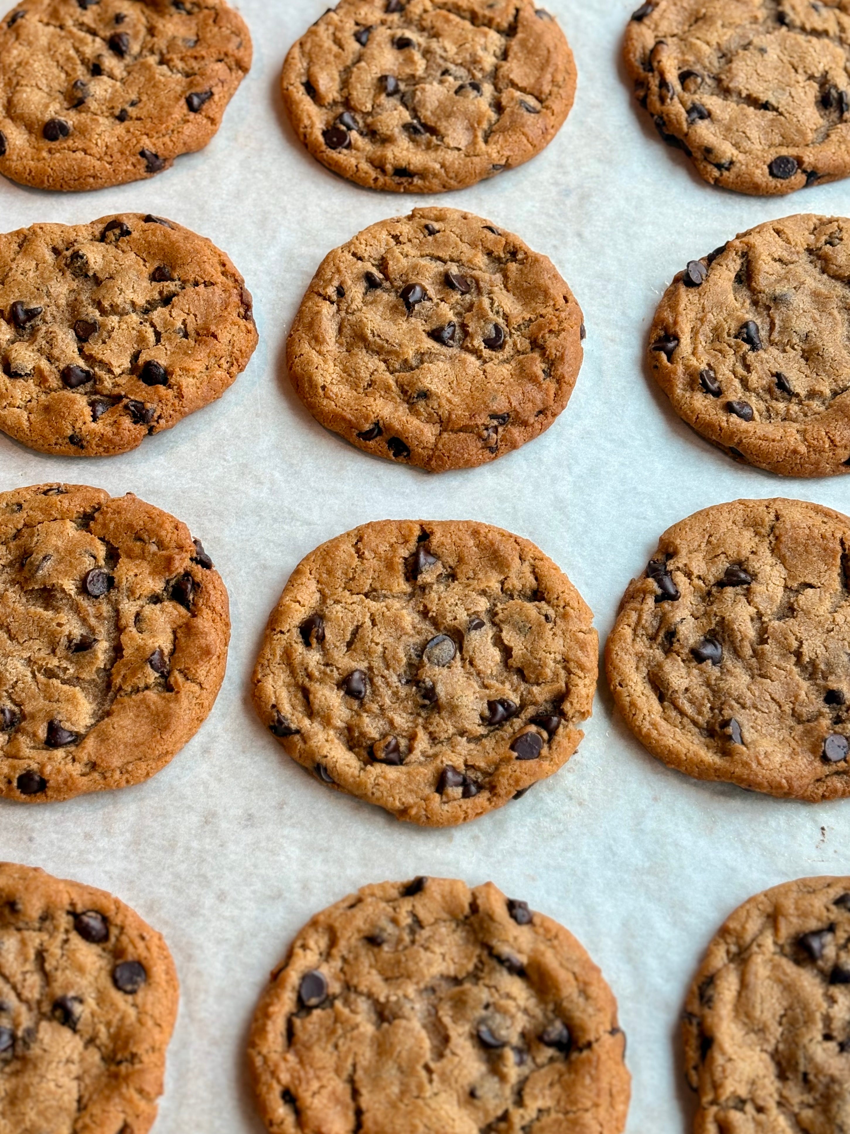 Chocolate Chip Cookie